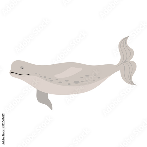Fotobehang beluga whale animal