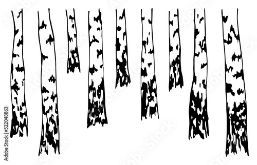 Simple hand-drawn vector drawing in engraving style. Black and white ink sketch. Forest, birch grove, trees. Nature, landscape. Wood products.