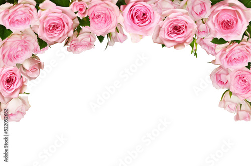 Pink rose flowers in a top ...