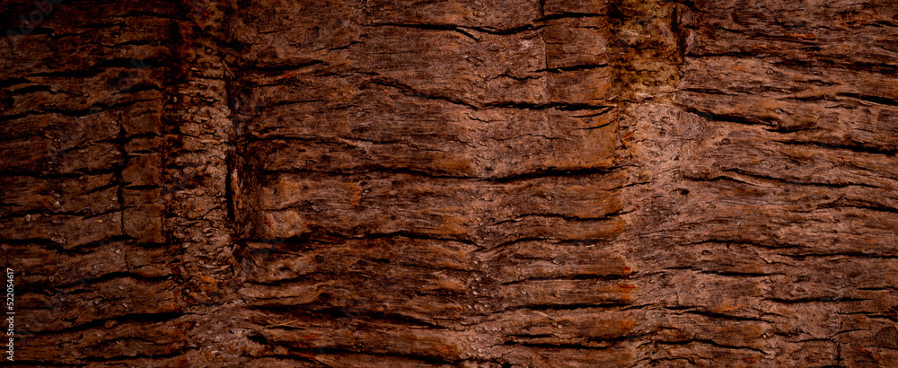 Fototapeta premium wood texture