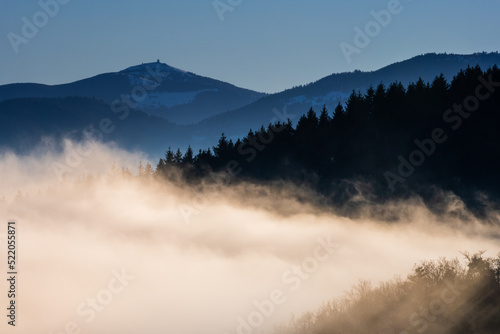 Brouillard, forêt et montagne Le Grand Ballon, Vosges, Alsace, France