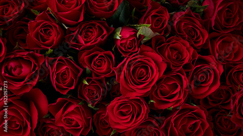 Background with beautiful red roses