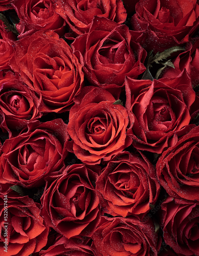 Background with beautiful red roses Background with beautiful red roses