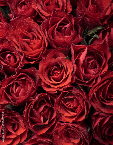 Background with beautiful red roses