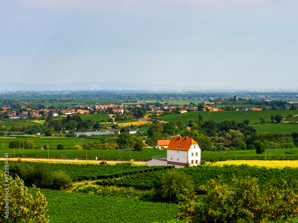 Schönes Haus mit malerischer Landschaft, Weinbergen, wie Toskana, in der Pfalz