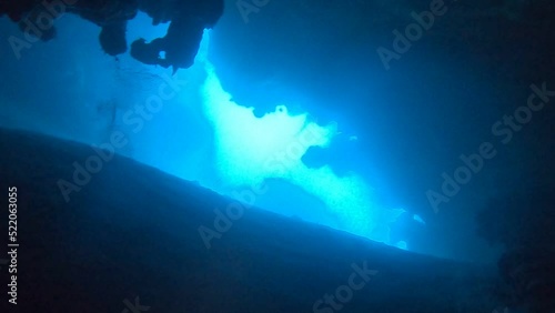 Wallpaper Mural Coral reef and water plants in the Red Sea, Dahab, blue lagoon Sinai Egypt
 Torontodigital.ca