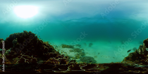 Soft and hard corals. Underwater fish garden reef. Reef coral scene. Philippines. Virtual Reality 360. © Alex Traveler