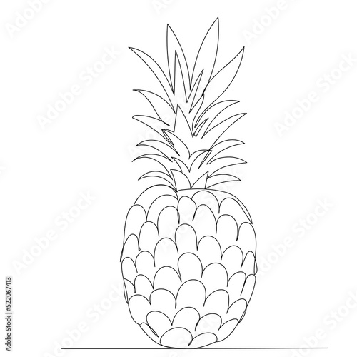 pineapple drawing one continuous line vector