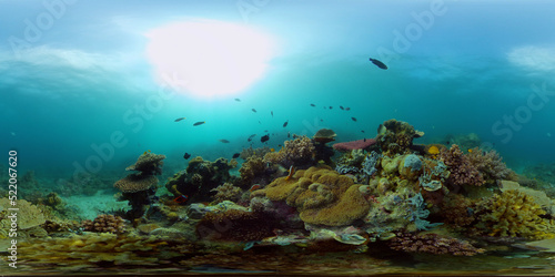 Fototapeta Naklejka Na Ścianę i Meble -  Tropical sea and coral reef. Underwater Fish and Coral Garden. Underwater sea fish. Tropical reef marine. Colourful underwater seascape. Philippines. Virtual Reality 360.