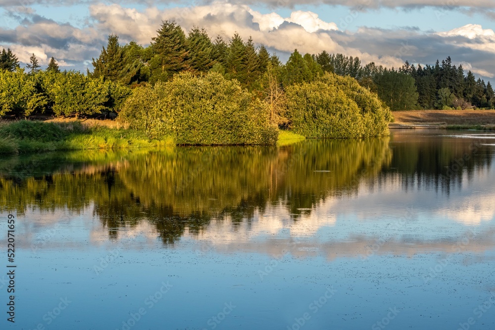 An overlooking view of nature in Portland, Oregon
