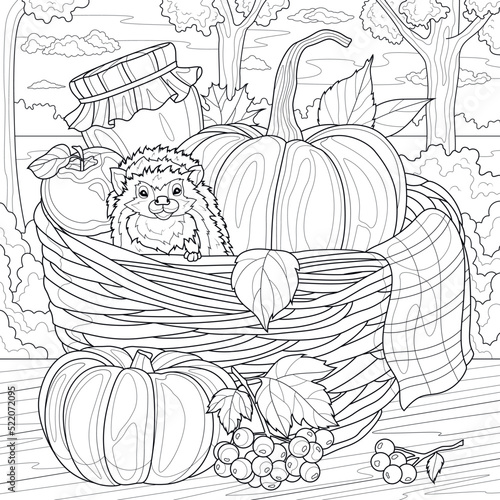 Basket with hedgehog and pumpkins.Autumn harvest.Coloring book antistress for children and adults. Illustration isolated on white background.Zen-tangle style. Hand draw photo