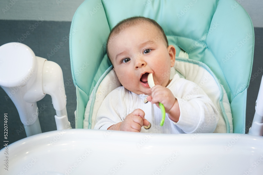A hungry baby is gnawing on a plastic spoon at the table on a high chair. Teething, whims, itchy gums, introduction of complementary foods A hungry baby is gnawing on a plastic spoon at the table on a high chair. Teething, whims, itchy gums, introduction of complementary foods