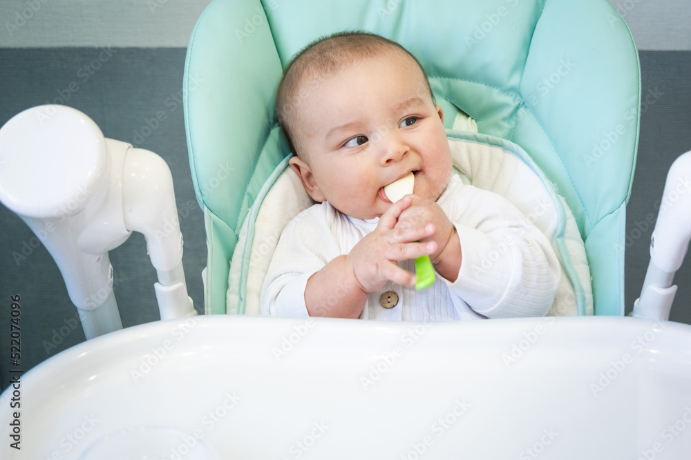 A hungry baby is gnawing on a plastic spoon at the table on a high chair. Teething, whims, itchy gums, introduction of complementary foods A hungry baby is gnawing on a plastic spoon at the table on a high chair. Teething, whims, itchy gums, introduction of complementary foods