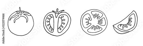 tomato in doodle style