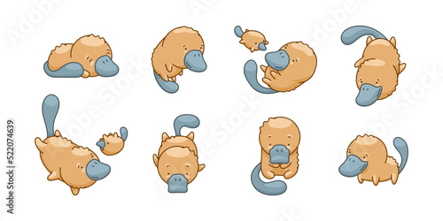 Platypus in kawaii style, cute cartoon character
