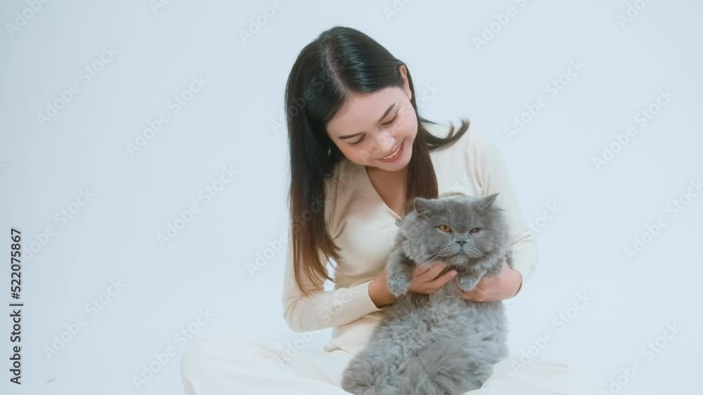 A young woman is holding lovely cat , playing with cat in studio on white background A young woman is holding lovely cat , playing with cat in studio on white background