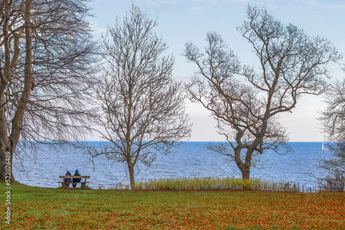 Sea autumn landscape. A couple of people are sitting on a bench, Trees without leaves. Bare trees.