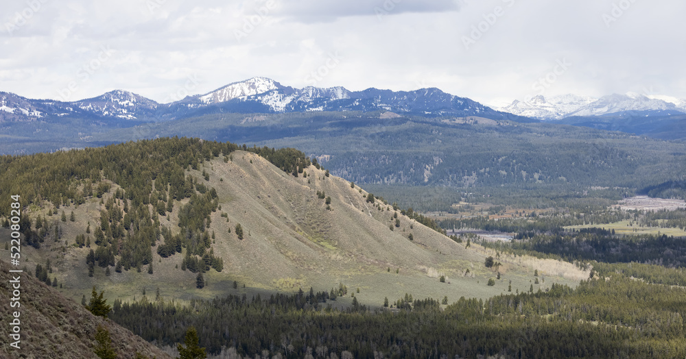 Obraz premium Trees, Land and Mountains in American Landscape. Spring Season. Grand Teton National Park. Wyoming, United States. Nature Background.