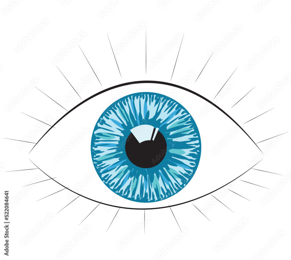 Human eye. Vector illustration isolated on white background. Human eye. Vector illustration isolated on white background.