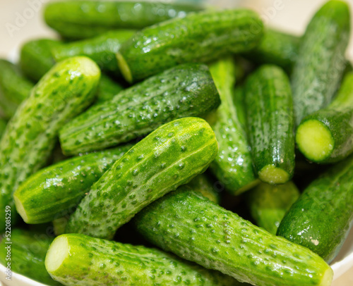 Small  beautiful organic cucumbers are washed and lying in a deep dish waiting to be canned