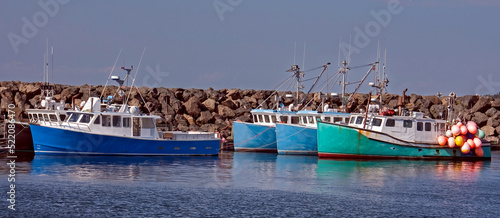 fishing boats in harbor