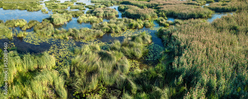 Islands of reeds and overgr...