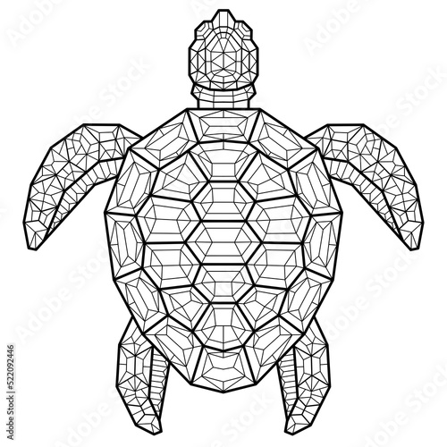 Line art geometric turtle illustration photo