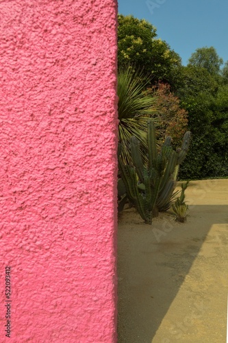 Vertical shot of Luis Barragan's equestrian estate with a pink wall, cactus, and sandy ground photo