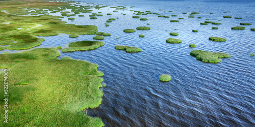 Islands of reeds and blue w...