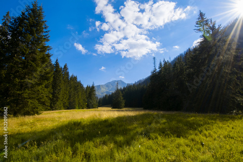 Sunny mountains