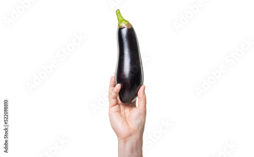 ripe eggplant vegetable in hand isolated on white background