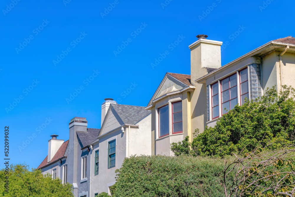 Shrubs at the front of the houses against the sky at San Francisco, California Shrubs at the front of the houses against the sky at San Francisco, California