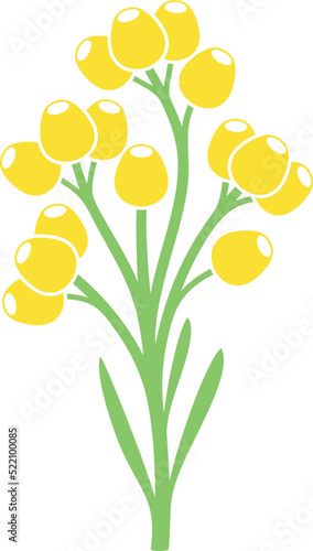 Immortelle logo. Isolated immortelle on white background