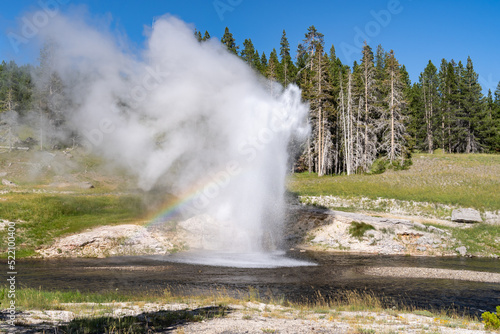 Riverside Geyser erupts in Yellowstone National Park, with a rainbow in Wyoming USA