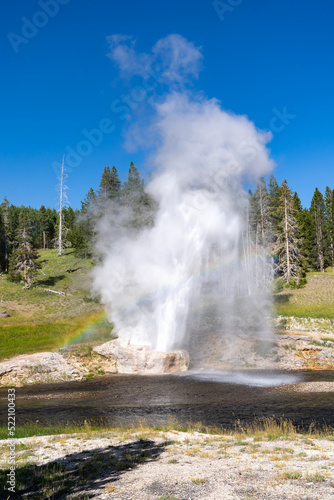 Riverside Geyser erupts in Yellowstone National Park, with a rainbow in Wyoming USA