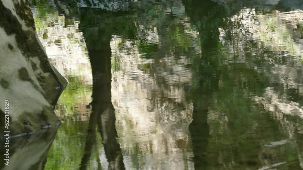 video riflessi acqua in 4k video riflessi acqua in 4k