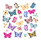 Collection of multicolored butterflies