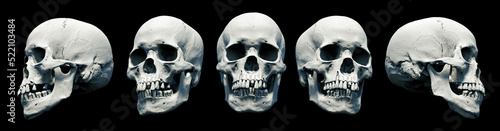 Set Human skulls with an close lower jaw on a Black isolated background. Kit. The concept of death  immortality  eternal life  horror. Acult symbol. Spooky Halloween symbol. 3D render