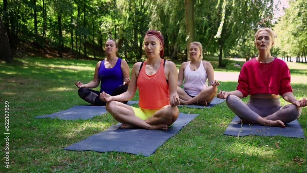 Group of adult women practicing yoga in park sitting in lotus pose on mat Group of adult women practicing yoga in park sitting in lotus pose on mat