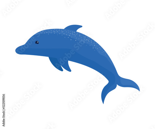 blue dolphin design