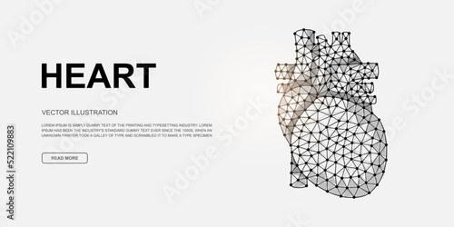 Heart 3d low poly symbol for landing page template. Cardiology design illustration. Polygonal Organ illustration for homepage design, adv page