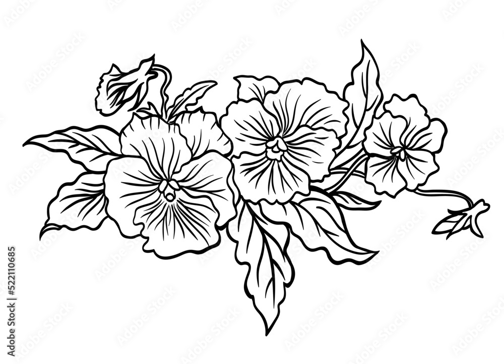 Obraz premium Pansies horizontal vignette, black and white graphic illustration.