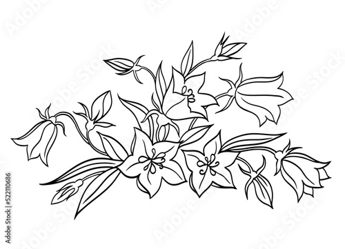 Horizontal bluebell vignette, black and white graphic illustration.