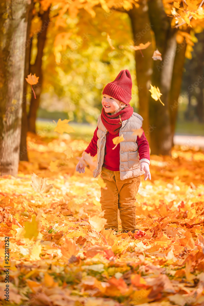 Little child girl playing with maple leaves in the autumn park. Happy child girl having fun in autumn park Little child girl playing with maple leaves in the autumn park. Happy child girl having fun in autumn park