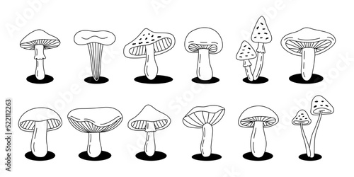 Mushroom outline sketch set. Poisonous and edible mushrooms line banner. Different mushrooms symbols. Chanterelle, amanita muscaria, truffle, morels.