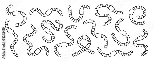 Curled earthworms outline set. Terrestrial worms line banner. Invertebrate crawling worms illustration. Collection of curled earthworms photo