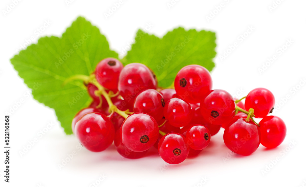 Red currants with green leaves.