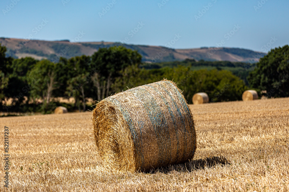 A rural Sussex landscape with hay bales in a field