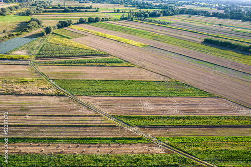 Fototapeta Naklejka Na Ścianę i Meble -  Kolorowe pola uprawne widziane z góry, rolniczy krajobraz polskiej wsi. 