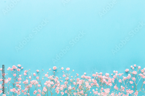 Beautiful flower background of pink gypsophila flowers. Flat lay, top view. Floral pattern.